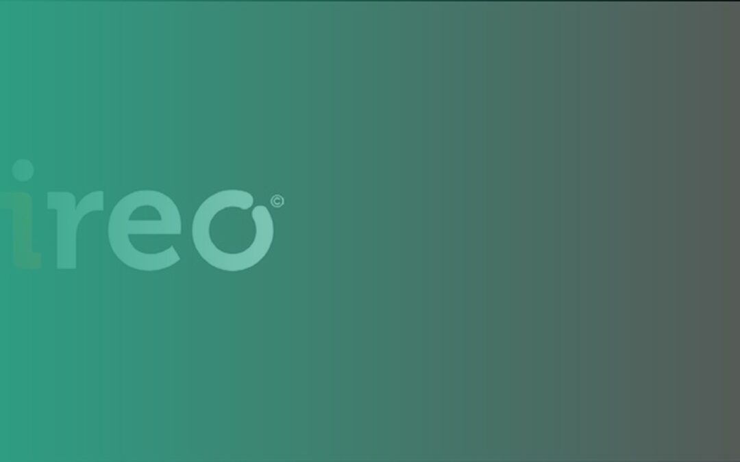 VIREO and Technology Partner Revolutionize Tax Filing in Luxembourg